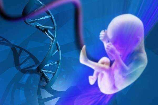 为什么试管不着床查NIPT？安全、实用的胎儿检测方式