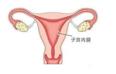 子宫内膜正常厚度