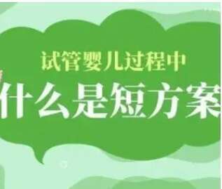 短方案