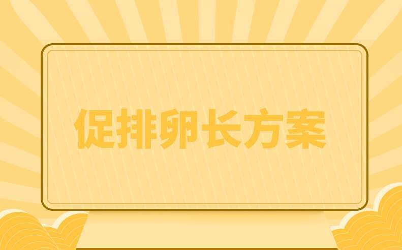 长方案
