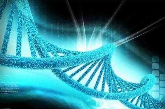 做试管婴儿真的容易得白血病吗？结果出乎意料之外