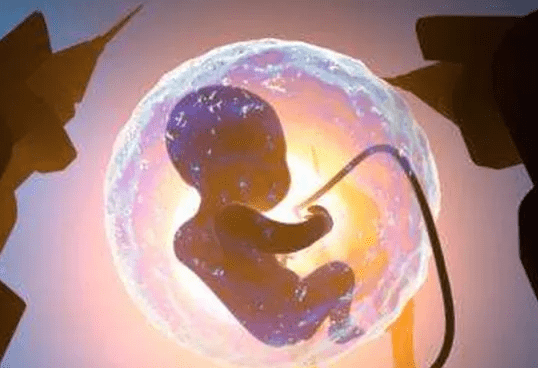 绝经可以借卵做试管婴儿吗?答案是肯定的