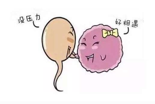 做试管婴儿前需要怎么调理身体？这些建议值得参考！不要错过哦！