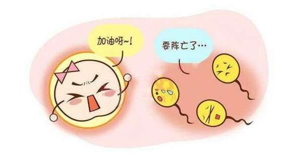 试管婴儿移植后反应有哪些？数据告诉你！