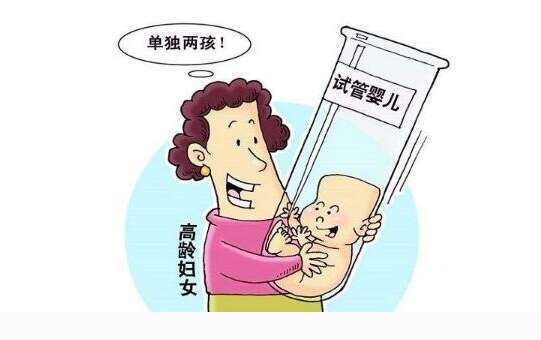 高龄女性做试管婴儿怎么改善卵子质量？