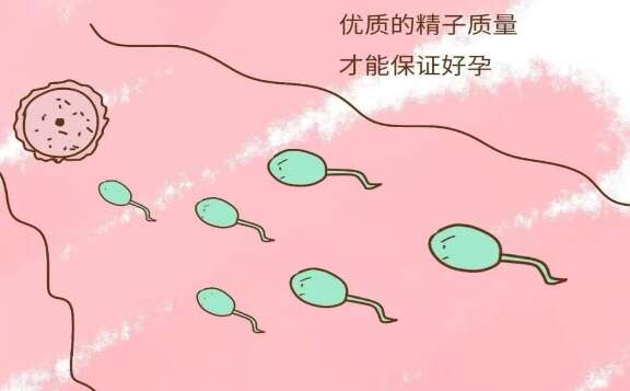 三代试管取精前一天遗精了?恢复后多次检查才能试管