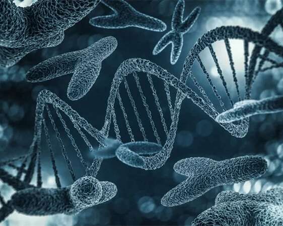常染色体显性遗传病可以做试管吗?三代试管筛查遗传病种类