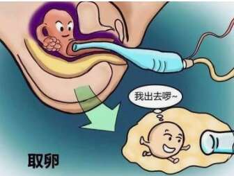 三代试管取卵筛查得多久