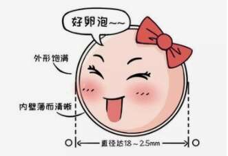 二代试管婴儿注意事项