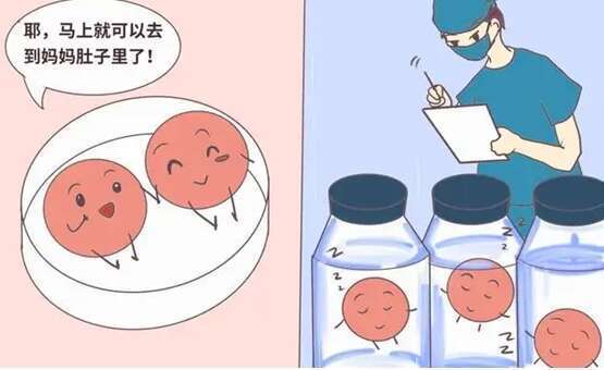 二代试管婴儿移植最佳时间