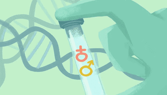 W{NBD}GUDHN7RQ~S12(R6}V.png