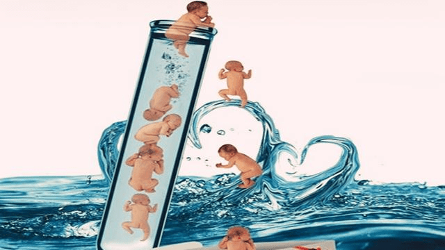 5c54a201902261204374139.png