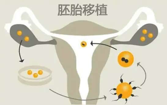 试管冷冻胚胎移植时间