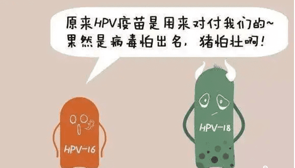 5分钟了解hpv疫苗是什么