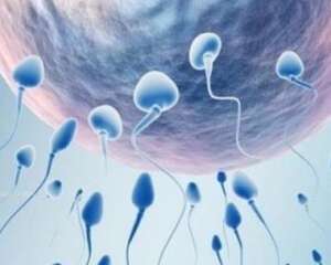 西南医院试管婴儿最新技术，提供安全的技术和全面的咨询服务