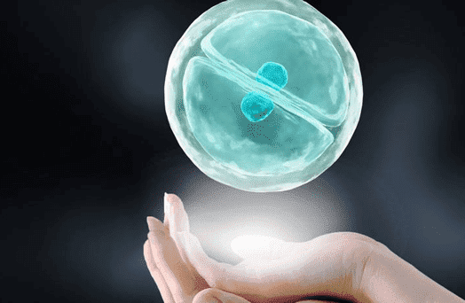 试管婴儿移植困难，要做出科学决定了解所有可能风险