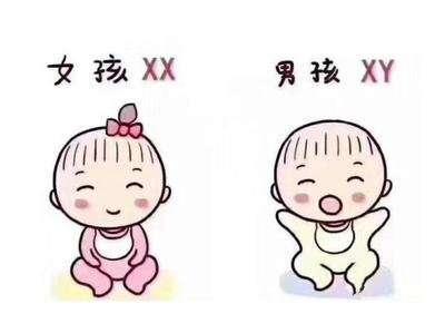 试管婴儿生男女，实现梦想的科技手段