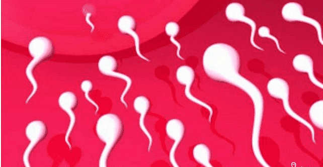 精液是乳白色有一种腥臭味