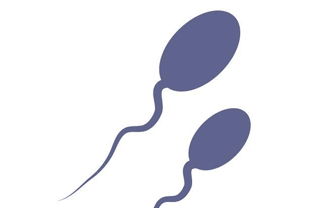 精子少的男性能否实现试管婴儿?专家解答→