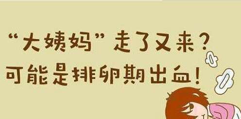 为什么会排卵期出血怎么办