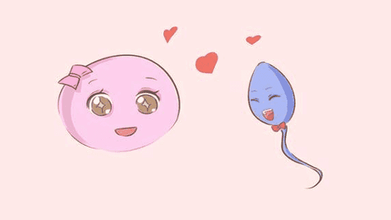 试管婴儿取精时机：把握“十五天”重要期