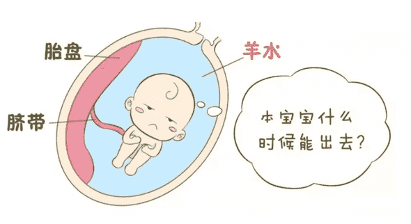 认识33周慢性漏羊水症状，维护羊只健康