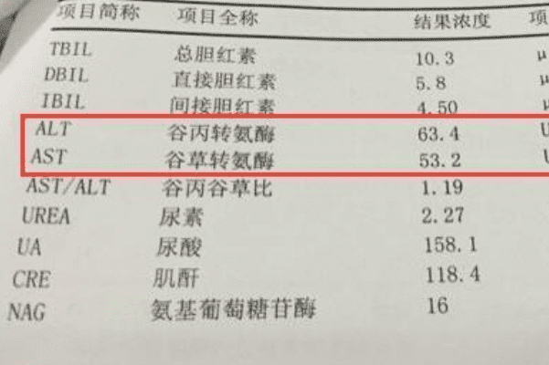 转氨酶升高一个月后会下降