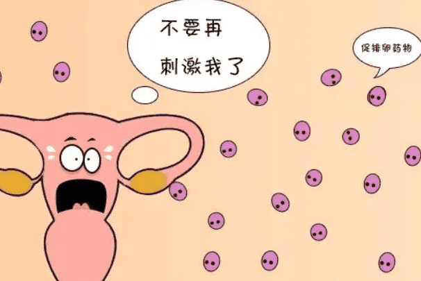 高龄做试管卵巢会过渡刺激