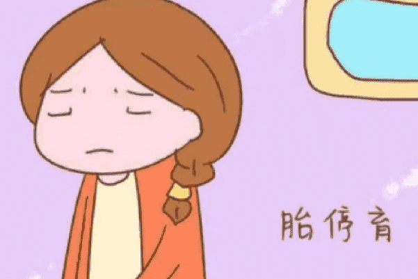 高龄做试管导致胚胎停育