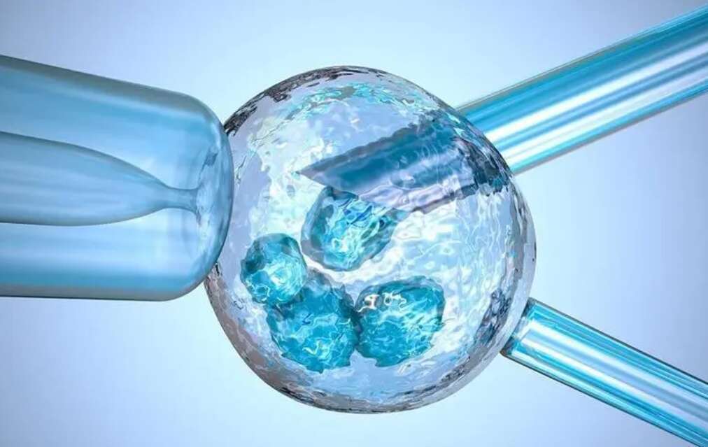 试管移植后如何放松？试管移植前子宫内膜准备阶段需要注意什么？