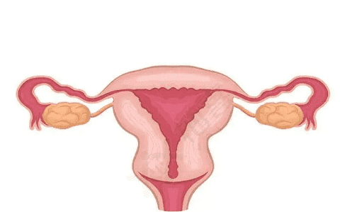 子宫内膜薄要调理多久？都有哪些调理方法？