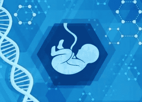 黄体功能不全对试管有什么影响？如何应对黄体功能不全？