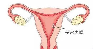 子宫内膜三线征是什么，形态完整且良好有利于胚胎着床