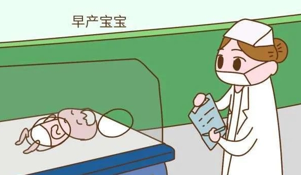试管单胎早产风险不高，与自然怀孕概率相近