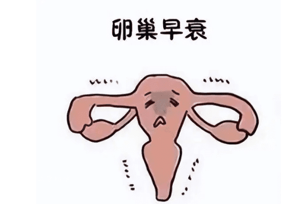 卵巢早衰做试管用什么方案，这三种试管方案可供选择