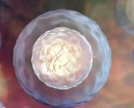 囊胚移植14天血值123是正常范围吗？有希望顺利保胎吗？