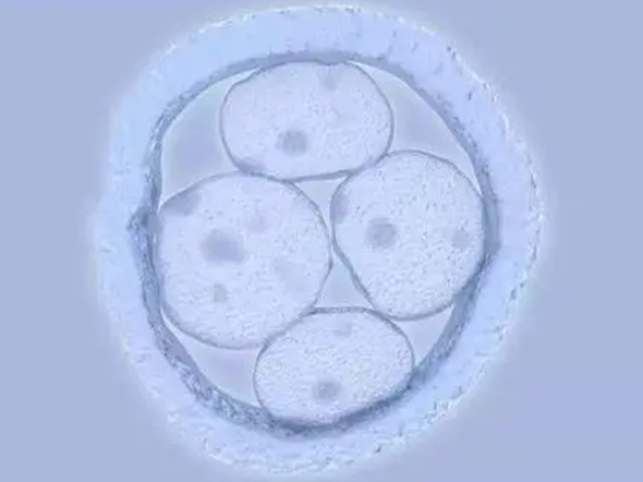 99.png