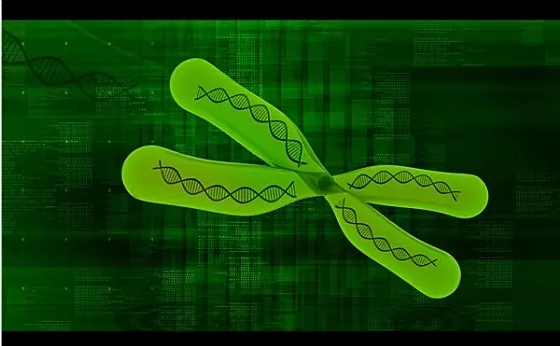 一文详解11号染色体UPD的遗传类型，可码住！