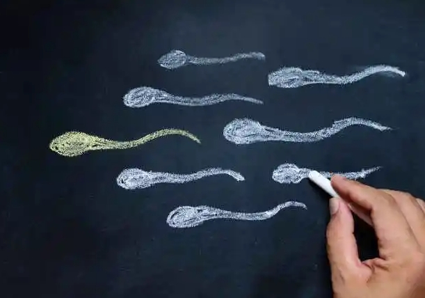 精子畸形率高做几代试管成功率高？