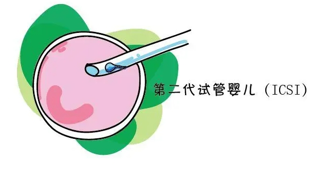 13.png