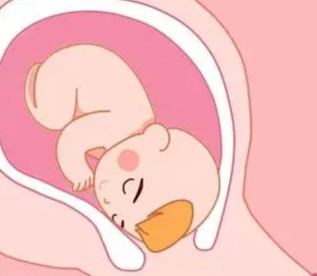 绝经与闭经女性：试管婴儿方案差异解析