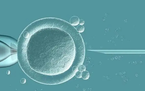 2024泰国做试管婴儿攻略分享，内有成功率和费用明细