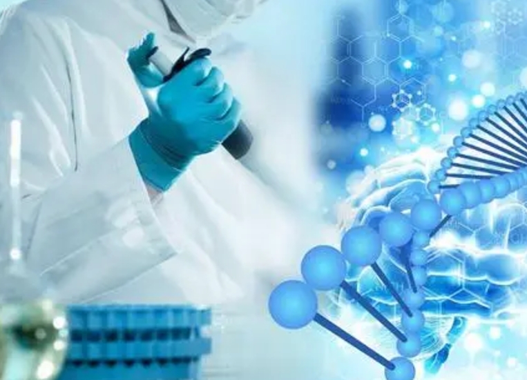 试管取卵前为什么要测hcg，hcg正常范围与测量步骤详解