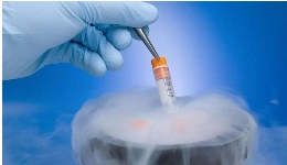 做试管促排卵子少有哪些原因？详细解决方案值得参考