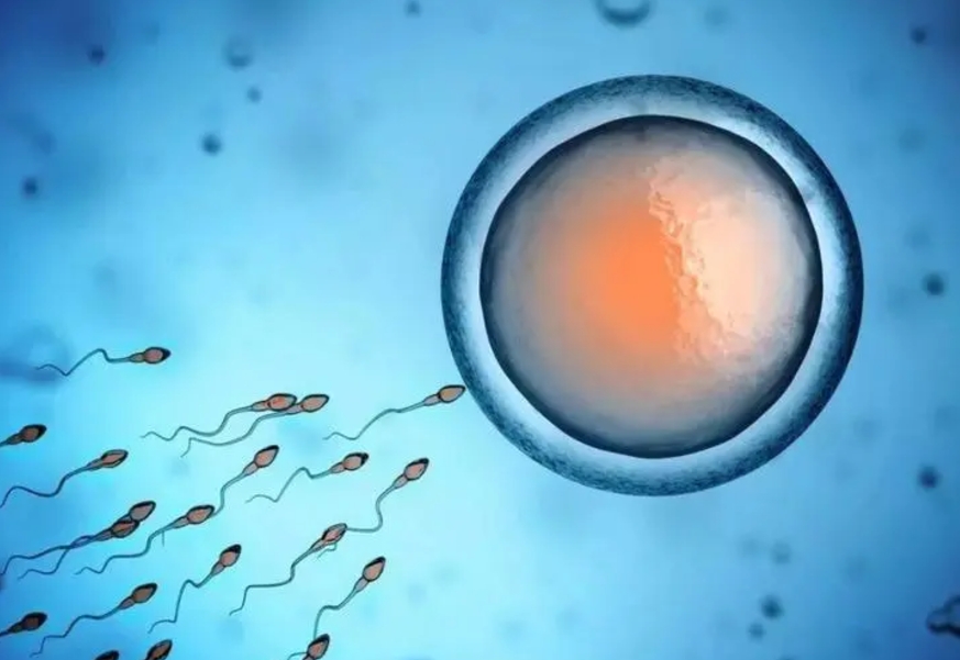 53.png