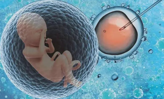 试管婴儿改良超长方案要花多长时间，解析每个阶段所需的时间