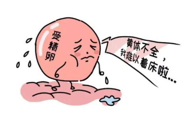 试管都会检查黄体功能吗?黄体支持时间因方案而已