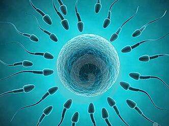 医院免费申请精子库精子需要什么？