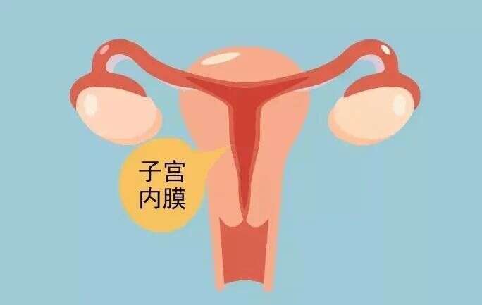 子宫b超回声不均匀影响试管移植?