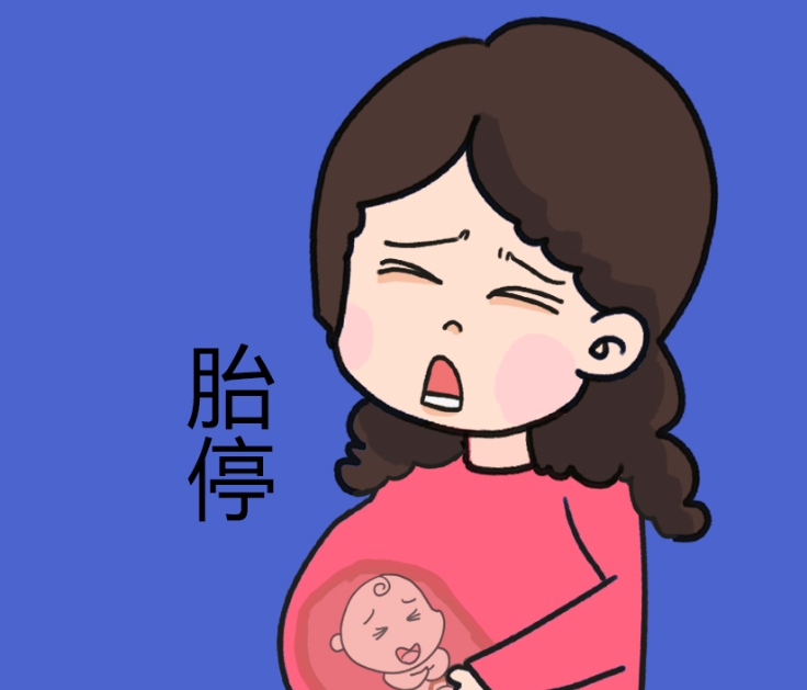 浅谈试管婴儿多次胎停的原因，胚胎质量不好是关键因素之一